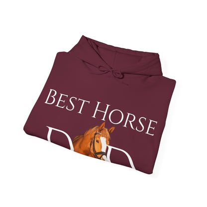 Best Horse Dad Custom Hooded Sweatshirt